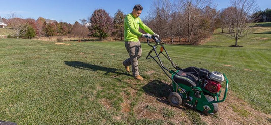 A freshly aerated green lawn in Southern Maryland, showing small soil plugs left behind after core aeration to help improve grass growth and soil health.